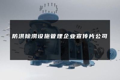 守护城市安澜——记防洪除涝设施管理企业的责任与担当