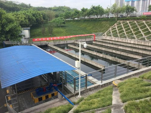 环保设施向公众开放丨走进重庆两江新区九曲河污水处理厂 防洪除涝设施的智慧与担当