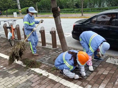 除草管理常态化 注重细节保品质 防洪除涝设施管理