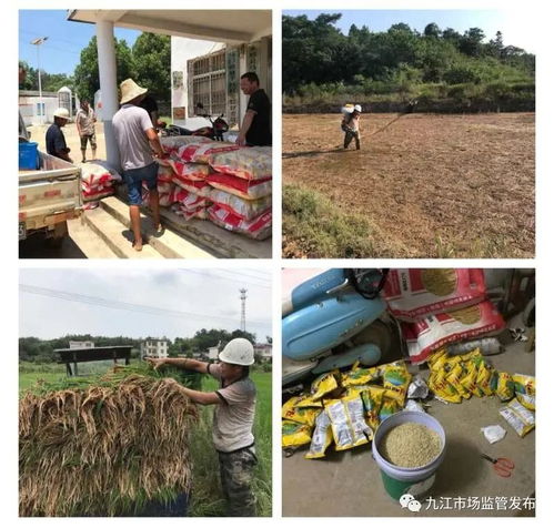 恪尽职守筑牢防线，市市场监管局持续抓好防汛抗洪与市场监管工作