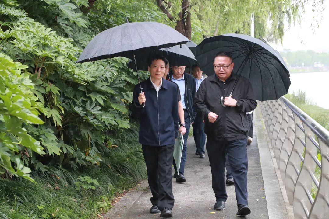 压实责任筑牢防线 守护城市安全底色——闵行区领导开展防汛检查及巡河、巡林工作纪实