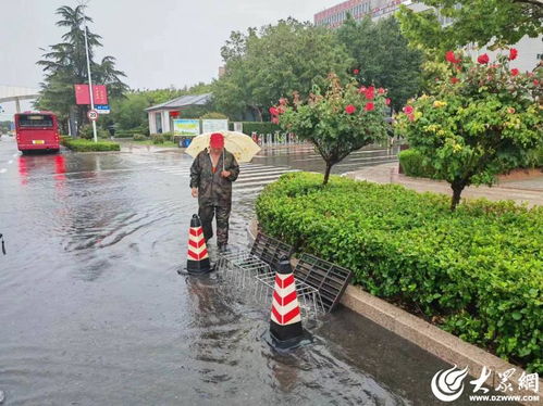 潍坊全市城管系统以雨为令 闻汛而动筑牢防洪排涝安全线