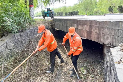 未雨绸缪 邯郸冀南新区全力做好防汛备汛工作 防洪除涝设施管理